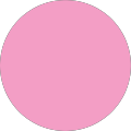 Marcela C. profile picture