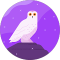 Doris S. profile picture